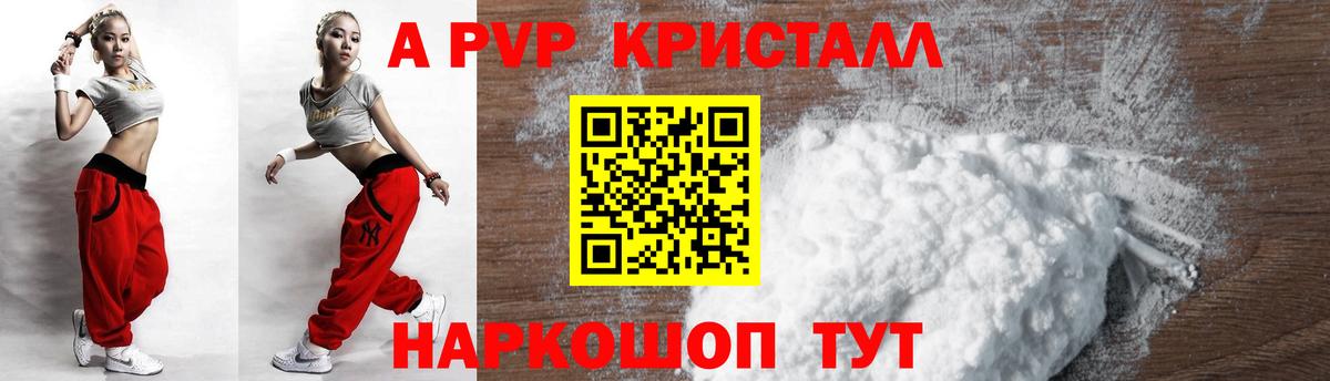 A PVP СК КРИС Советск