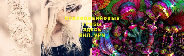 каннабис Новоузенск