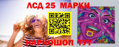 spice Камышлов