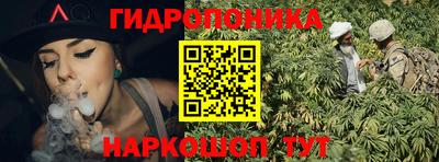 spice Камышлов