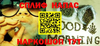 дмт Канаш