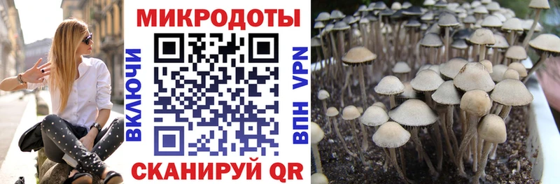 Псилоцибиновые грибы мухоморы  Советск 
