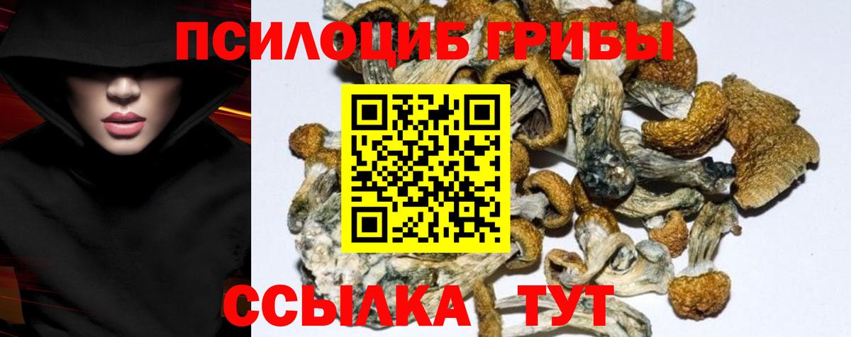 Советск  Галлюциногенные грибы Psilocybe  Вход с VPN  Псилоцибиновые грибы GOLDEN TEACHER 