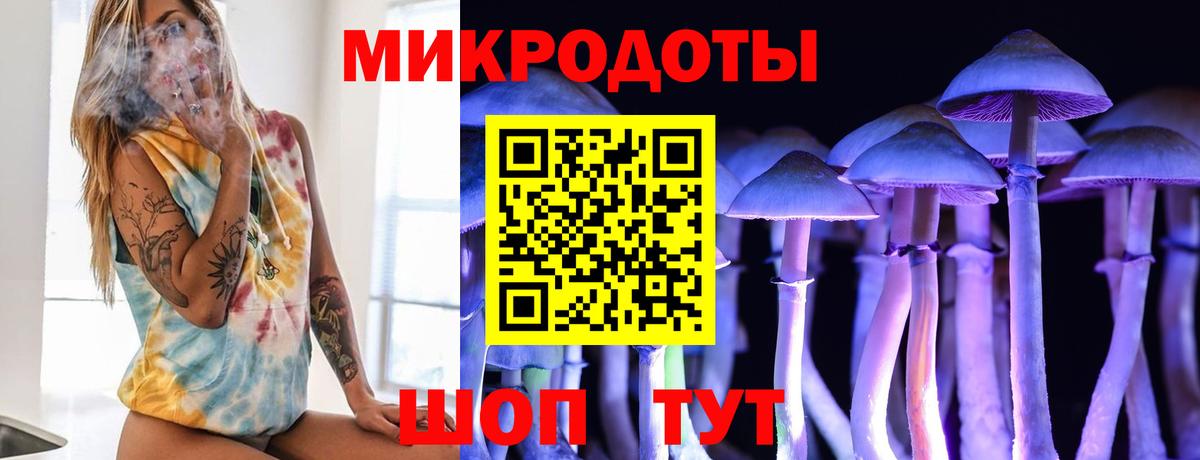 Псилоцибиновые грибы ЛСД Советск